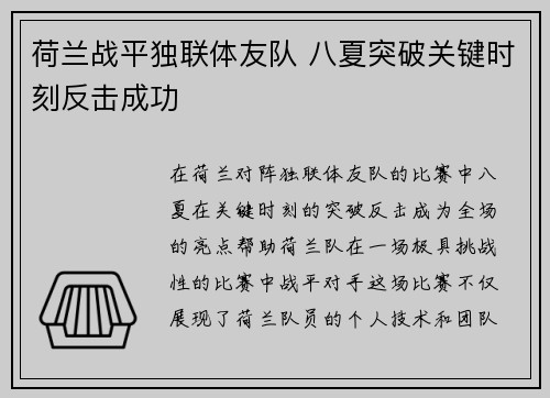 荷兰战平独联体友队 八夏突破关键时刻反击成功