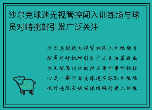 沙尔克球迷无视管控闯入训练场与球员对峙挑衅引发广泛关注