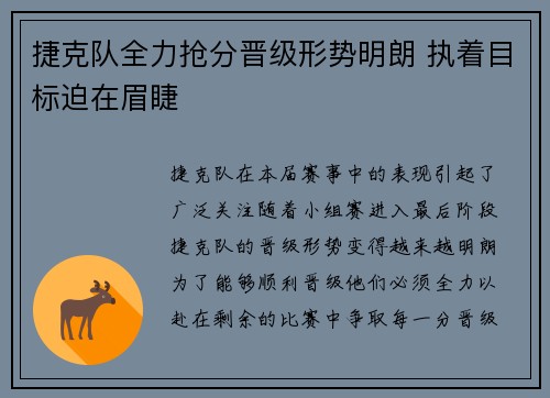 捷克队全力抢分晋级形势明朗 执着目标迫在眉睫